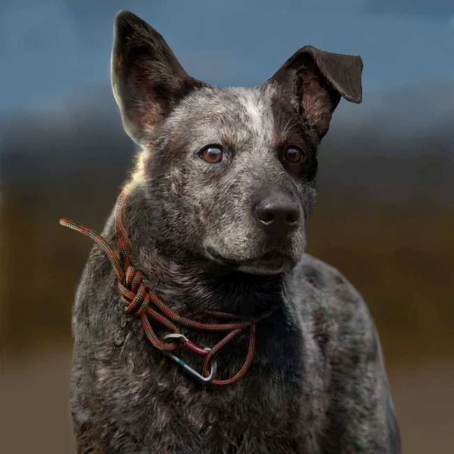 «Не занесли» #65. Far Cry 5, Ready Player One, A Way Out и Sea of Thieves
