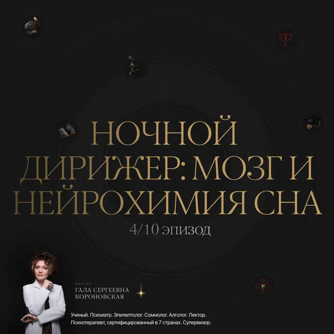 4/10 Ночной дирижёр: мой и нейрохимия сна