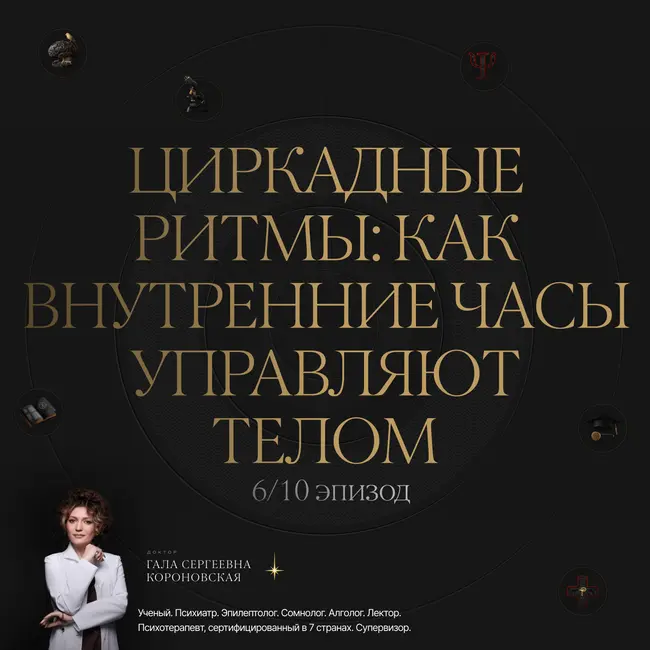 6/10 Циркадные ритмы: как внутренние часы управляют телом
