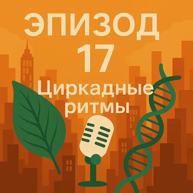 Эпизод 17. Социальный джетлаг: жаворонки, совы, уставшие гуси и битва с будильником