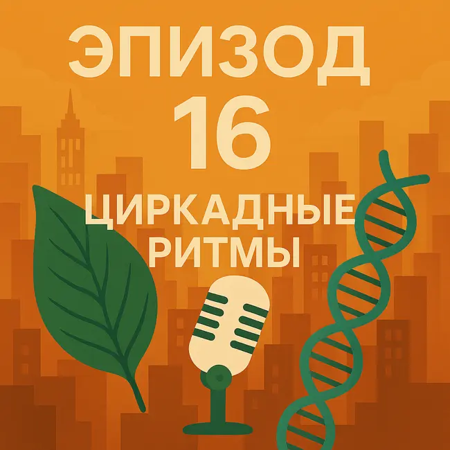 Эпизод 16. Молекулы времени: как устроены наши внутренние часы