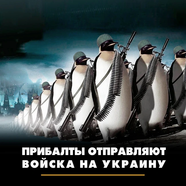 Прибалты отправляют войска на Украину