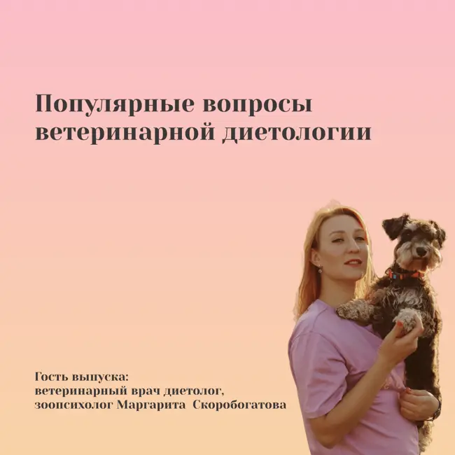 Популярные вопросы ветеринарной диетологии. Маргарита Скоробогатова