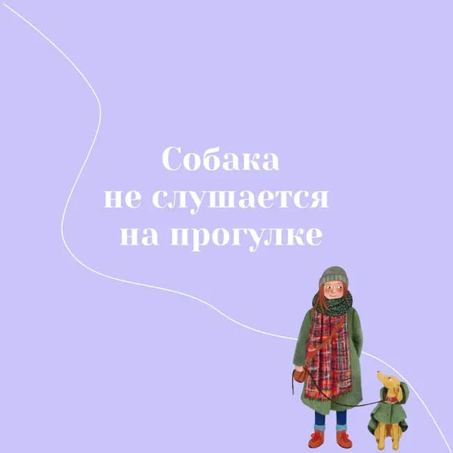 Запись лекции "Что делать, если собака не слушается на прогулке."