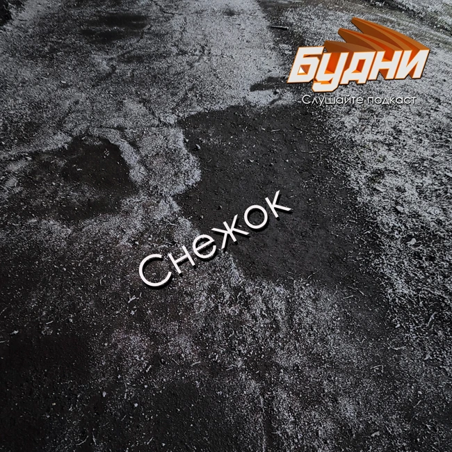 Выпал снежок, и обещают бурю.