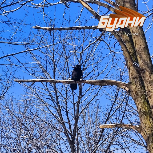 Кто сегодня был моей моделью?