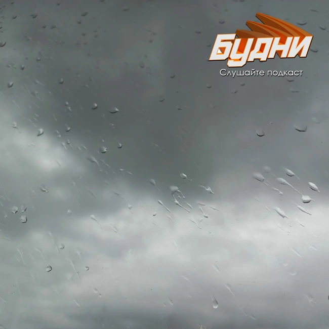 У нас растут цветочки, на деревьях почки и одуванчики