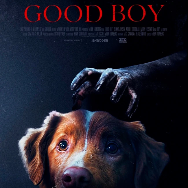 S30.09. Глазами хорошего мальчика пса