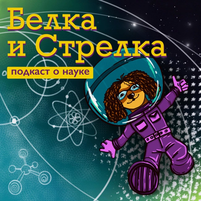 ЭКО: что не так с детьми из пробирки? В гостях физиолог и эмбриолог Екатерина Баблюк