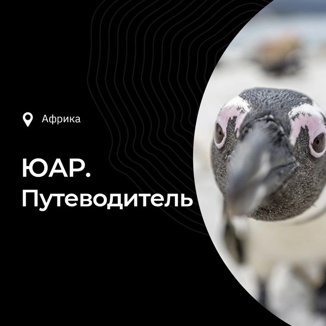 Путеводитель по ЮАР: интересные факты, туры, где жить, что посмотреть, что попробовать, история