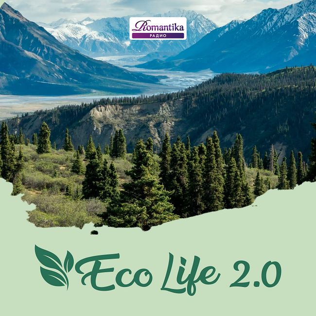 ECO Life 2.0: Как стать ответственным потребителем?