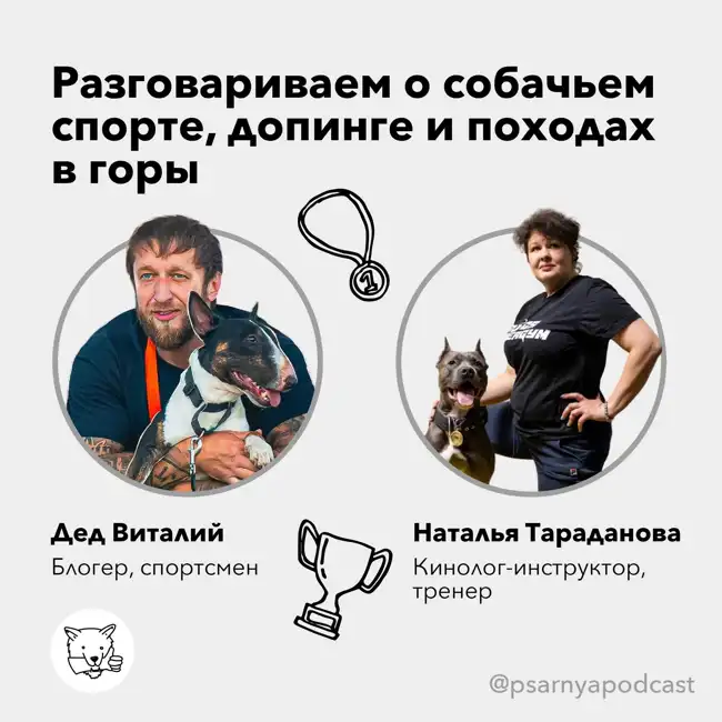 Разговариваем о собачьем  спорте, допинге и походах  в горы