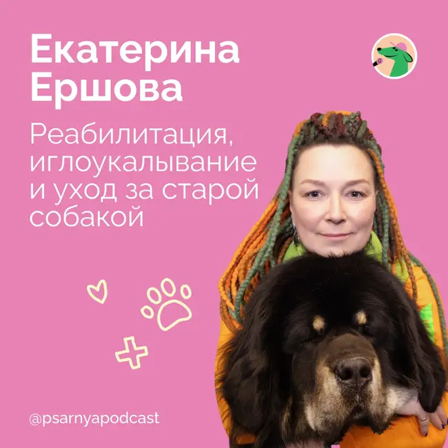 Екатерина Ершова. Реабилитация, иглоукалывание и уход за старой собакой