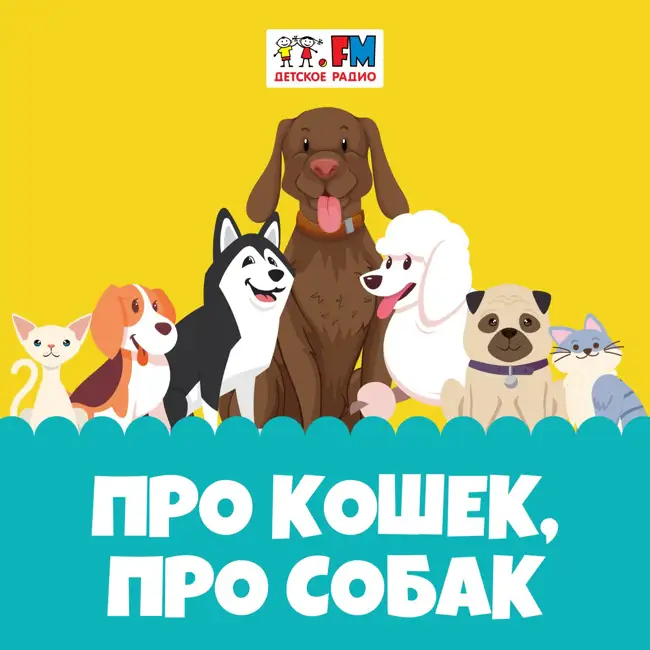 Про кошек, про собак - Что общего у шакалов и собак?