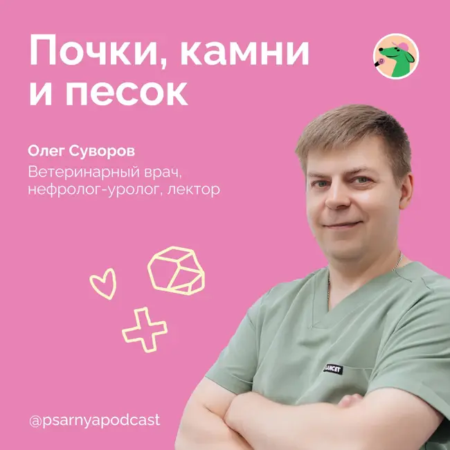 Олег Суворов. Почки, камни и песок