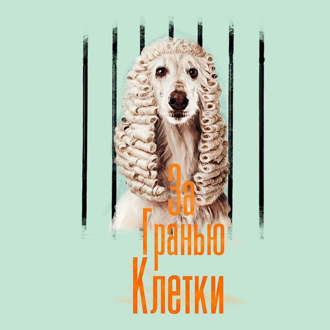 Animal law в России