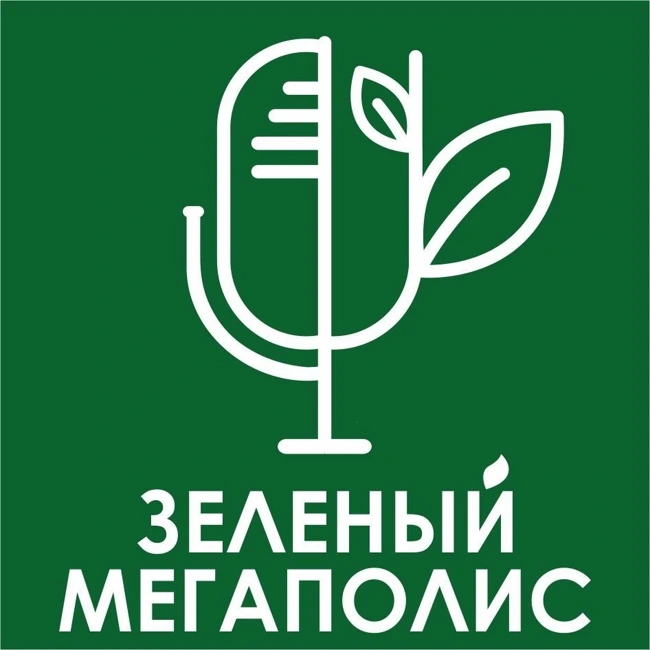 Как ботаника может изменить жизнь наших городов