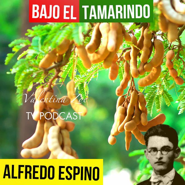 BAJO EL TAMARINDO ALFREDO ESPINO 👨‍🌾🫒 | Jícaras Tristes Auras del Bohío 🍯 | Alfredo Espino Poemas