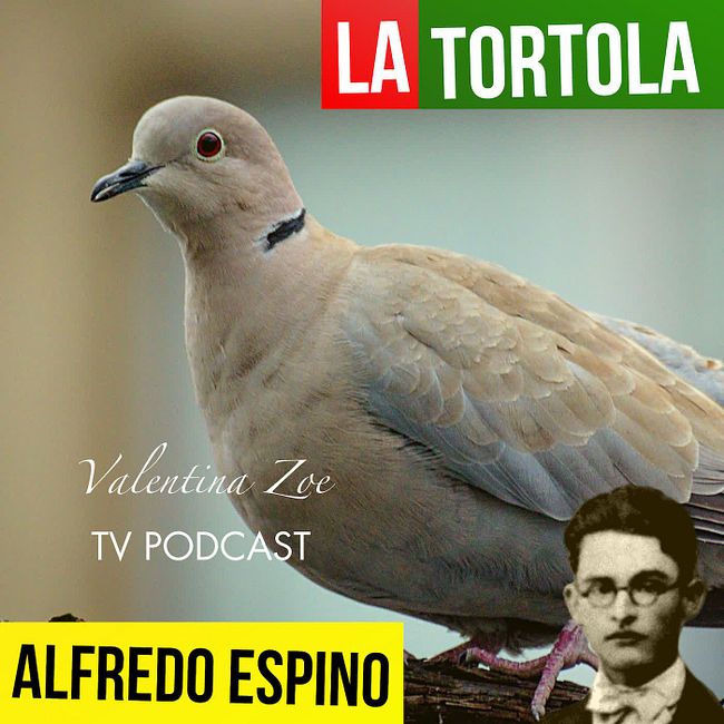 LA TORTOLA ALFREDO ESPINO 🕊️🌾 | Jícaras Tristes Panoramas y Aromas 😘 | Alfredo Espino Poemas