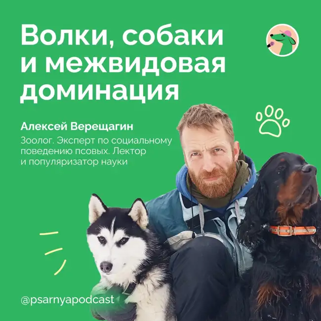 Алексей Верещагин. Волки, собаки и межвидовая доминация