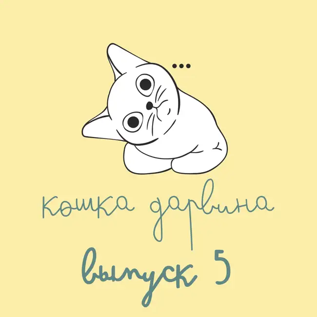 Кошка Дарвина – Выпуск 5 (22 апреля – 28 апреля)