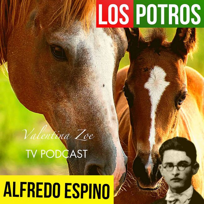 LOS POTROS ALFREDO ESPINO 🐎🌪️ | Jícaras Tristes Auras del Bohío 🌄 | Alfredo Espino Poemas
