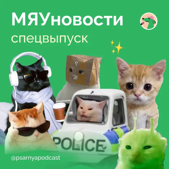 МЯУновости. Спецвыпуск ко дню кошек