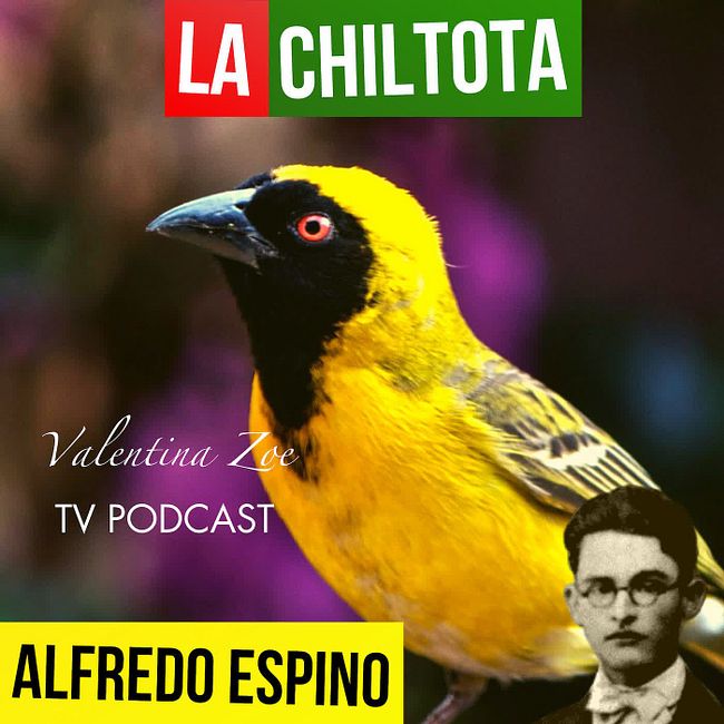LA CHILTOTA ALFREDO ESPINO 🐦🥭 | Jícaras Tristes Pájaros de Leyenda 🌳 | Alfredo Espino Poemas