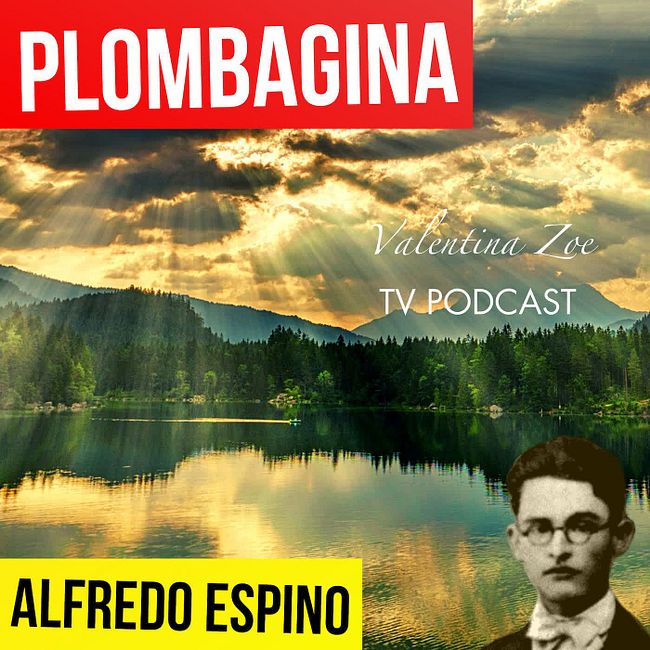 PLOMBAGINA ALFREDO ESPINO 🍃🕊️ | Jícaras Tristes Casucas 🌒 | Alfredo Espino Poemas | Valentina Zoe