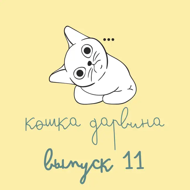 Кошка Дарвина - Выпуск 11 (6 июня - 12 июня)