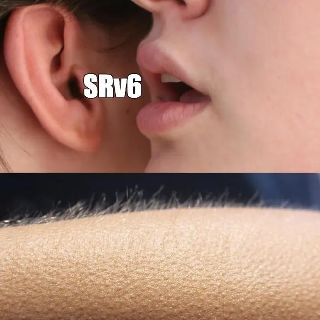 telecom №157. SRv6