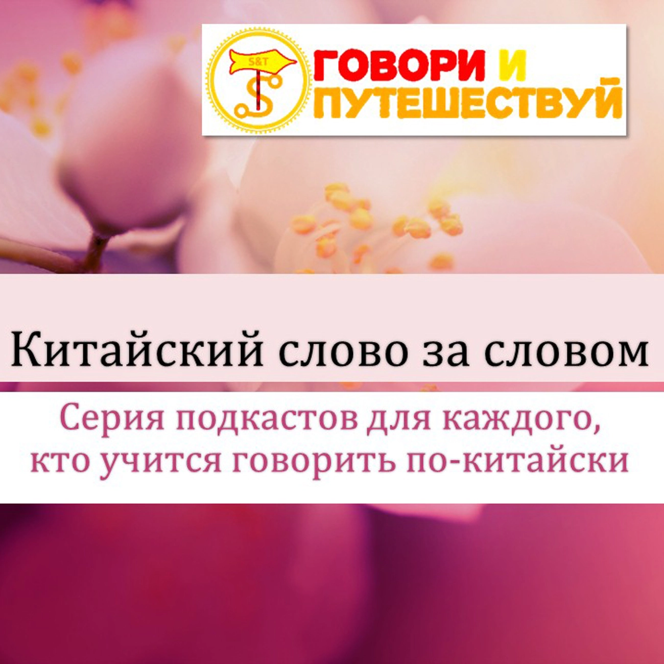 Китайский слово за словом