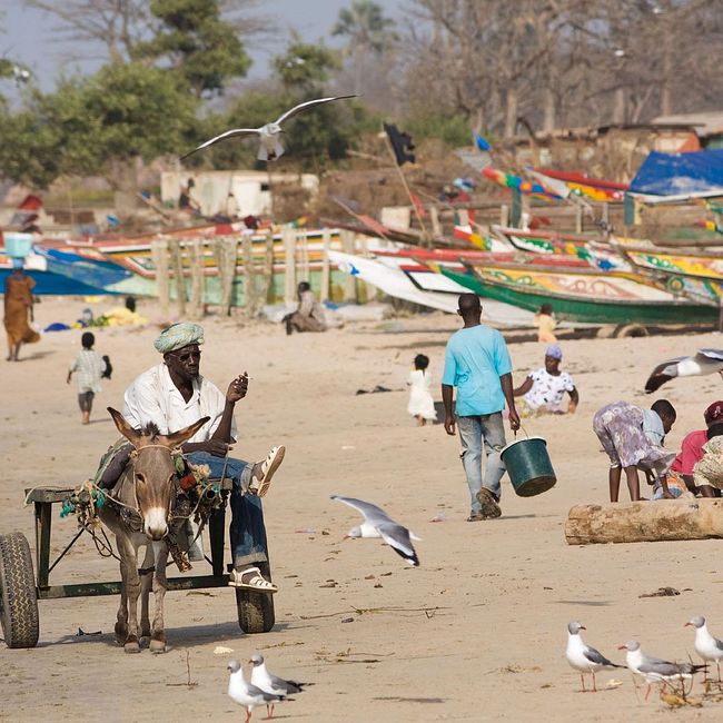 Гамбия. Страна на берегу