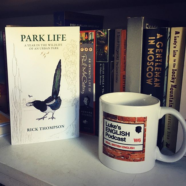 680. Park Life - A Year in The Wildlife Of An Urban Park (by Rick Thompson) / Animal Collective Nouns