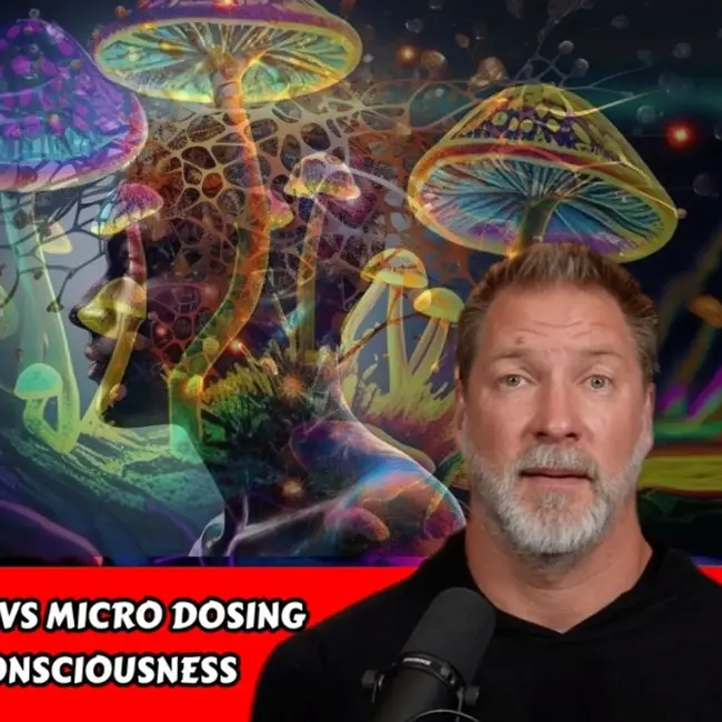#890: Vibrational Warfare And The Parasitic Inversion With Adam Schell ...