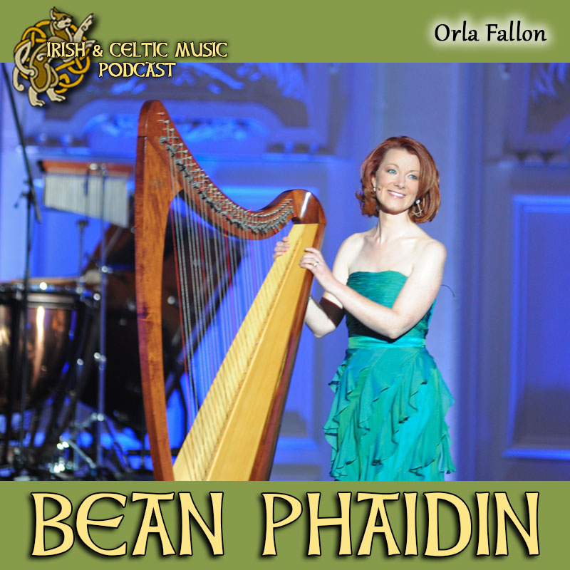 Bean Phaidin #471