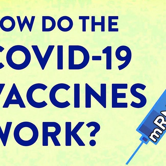 Как удалось создать вакцины против COVID-19 столь быстро (Кейтлин Садтлер и Элизабет Уэйн)