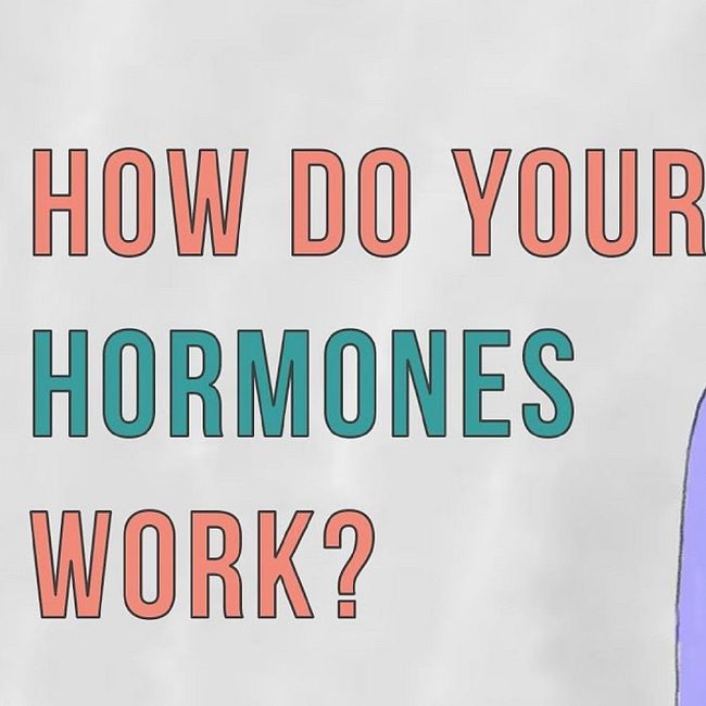 Какова роль гормонов в организме человека (Эмма Брайс)