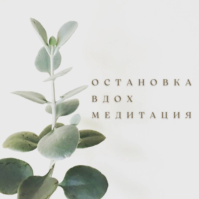 Пространство внутреннего мудреца