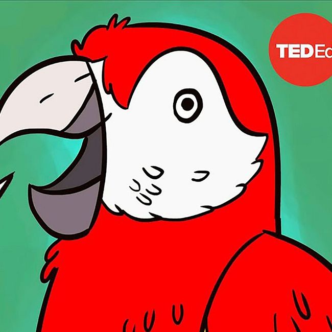 Почему попугаи разговаривают?